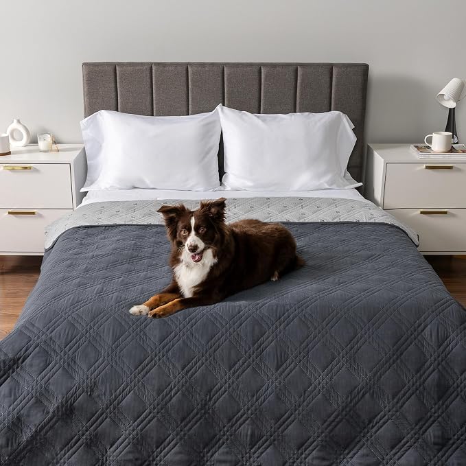 PetAmi Waterproof Couch Cover for Dogs, Non-Slip Leakproof Sofa Furniture Protector for Pet Cat, Machine Washable Bed Blanket for Car Seat, 102x82 Gray - Image 2
