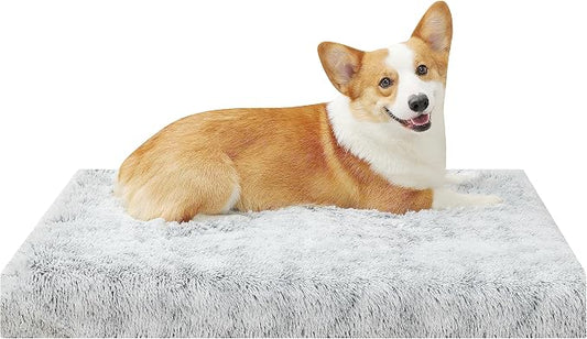 Light Grey 36''x27''x3 Medium L Orthopedic Long Plush Cover Dog Bed by YIZHUOPET