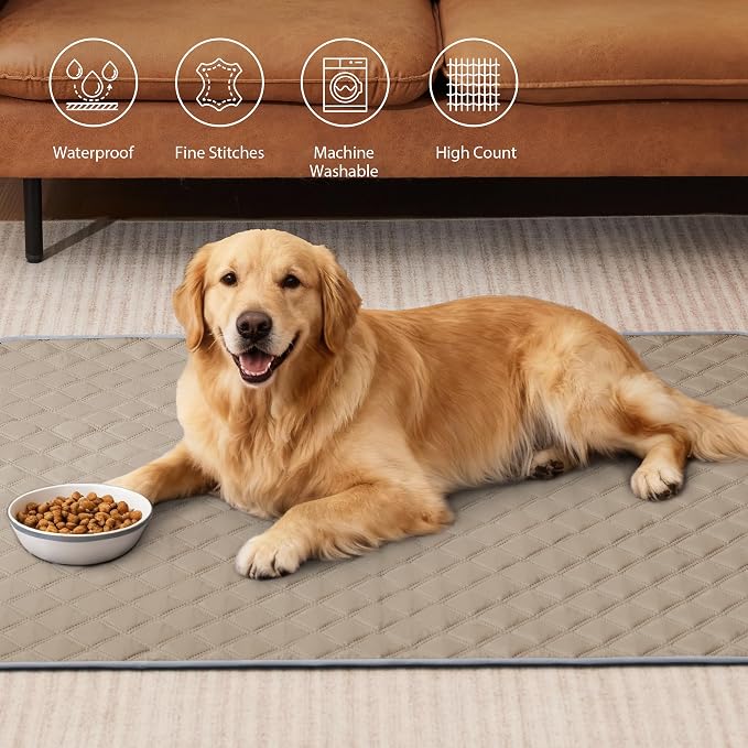 Eterish Reusable Washable Pee Pads for Dogs Large/Extra Large 36'' x 41'' 2 Pack, Absorbent Pet Puppy Dog Training Pads Non-Slip, Waterproof Whelping Potty Pads for Dogs Leak-Proof - Image 2