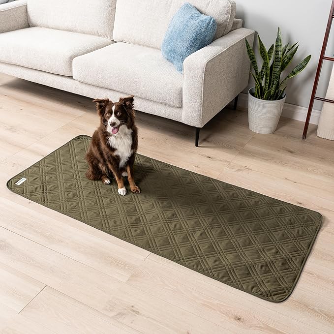 PetAmi Waterproof Couch Cover for Dogs, Non-Slip Leakproof Sofa Furniture Protector for Pet Cat, Machine Washable Bed Blanket for Car Seat, 30x70 Green - Image 2