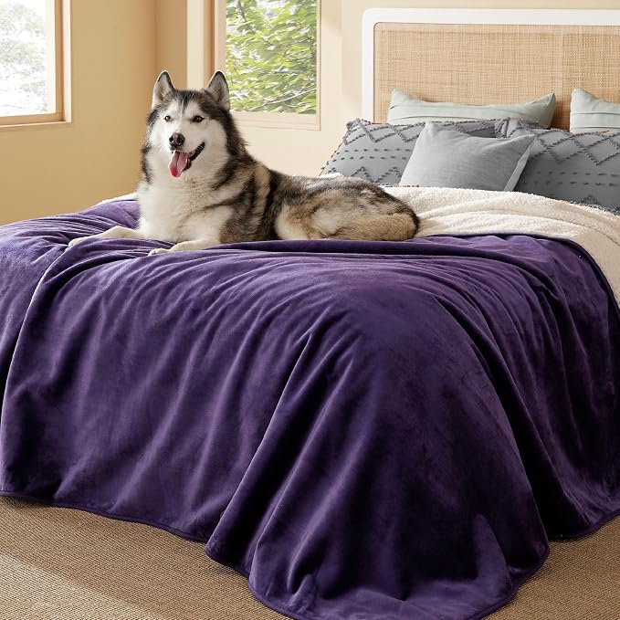 Bedsure Waterproof Blanket for Bed Soft Sherpa Fleece Throw,King 108"x86" | Plush Cozy Calming Reversible Dog Blankets for Large Senior Dogs,Warm Bed Couch Cover,Pet Furniture Protector,Eggplant by Unknown