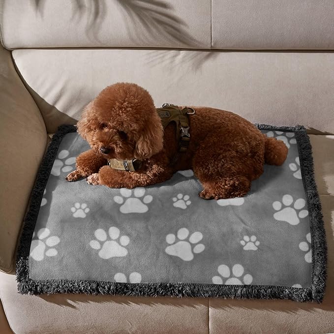 Kritter Planet Waterproof Reversible Pet Blanket for Small Dogs | 20 x 30 Inch, Washable Pet Protector for Crates, Pet Beds and Car Seats, Guards Against Fur, Dirt and Everyday Spills by KritterPlanet