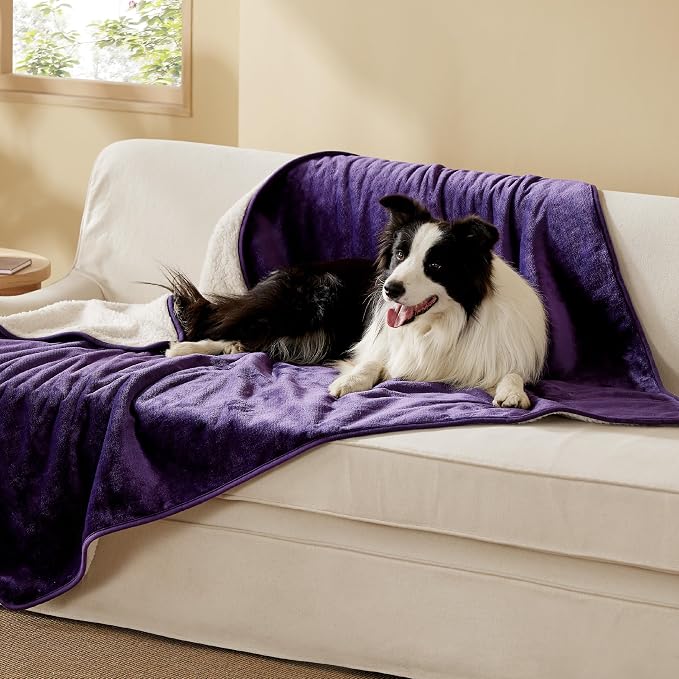 Bedsure Waterproof Dog Blankets for Extra Large Dogs - XL Cat Blanket Washable for Couch Protection, Sherpa Fleece Puppy Blanket, Soft Plush Reversible Throw Furniture Protector, 50x60, Eggplant by Unknown