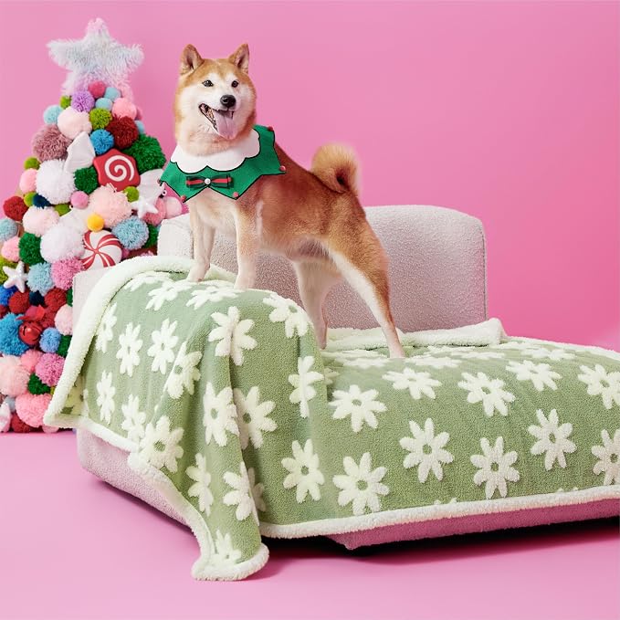 LE SURE Waterproof Dog Blankets for Large Dogs Cute Cozy 3D Jacquard,40x50 | Warm Soft Pet Blanket for Senior Dogs Aesthetic Gift, Washable Sherpa Throw, Reversible Couch Protector, Flower Garden Green by Lesure