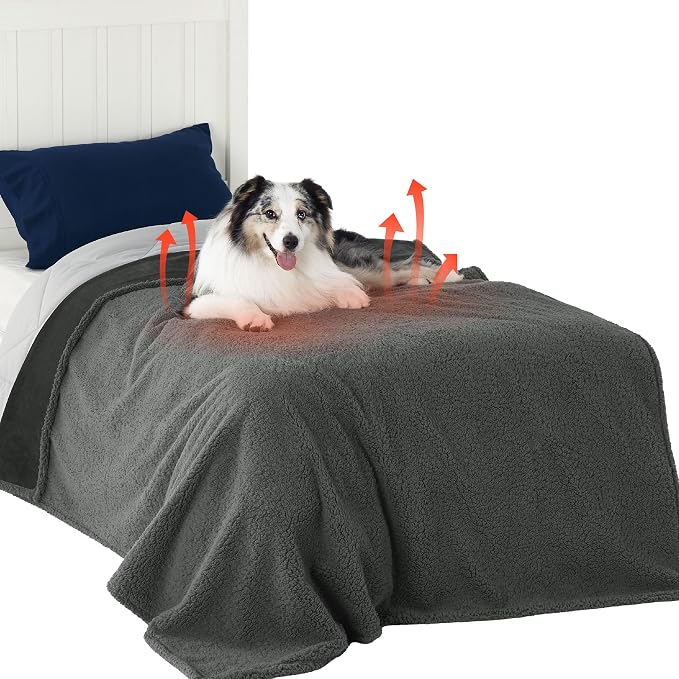 Bedsure Self Warming Waterproof Blanket for Bed - Twin Size (80"x60") Grey | Soft Plush Sherpa Fleece，Cozy Calming Reversible Dog Blankets for Large Dogs Pet,Warm Bed Couch Cover Furniture Protector by Unknown