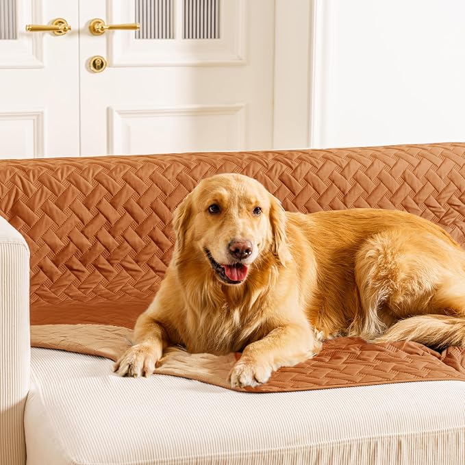 gogobunny 100% Double Sided Waterproof Dog Blanket Soft Pet Bed Cover Reversible Protect Furniture Couch Sofa Car for Puppy Cat Kids (Dark Pumpkin/Light Pumpkin, 30x30 Inch (Pack of 1)) by gogobunny