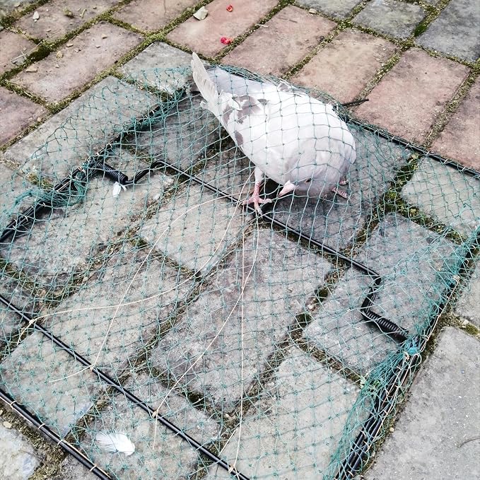 Pigeon Bird Trap Quail Sparrow 2 Pack Spring Starling Catching Net Traps for Trapping - Image 2