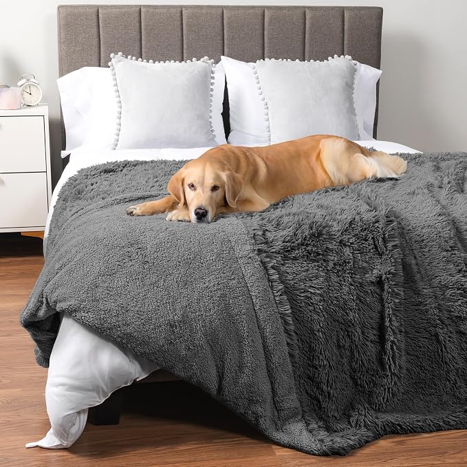 PetAmi Waterproof Dog Blanket for Couch, Bed & Furniture,Reversible Sherpa & Faux Fur Pet Blanket, Leakproof Pet Blanket for Large Dog Cat, Washable Soft Calming Sofa Protector Throw (60x80, Gray) by PetAmi