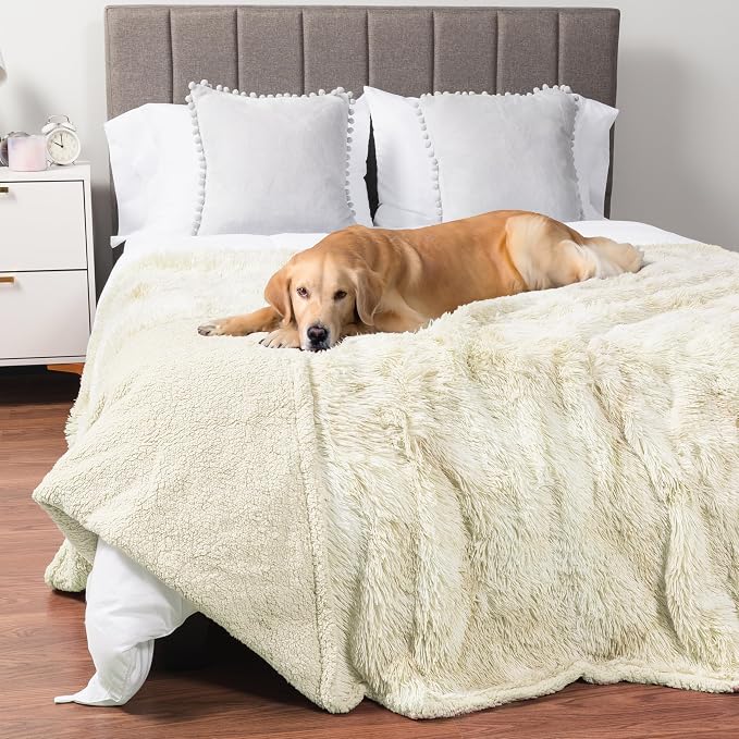 PetAmi Waterproof Dog Blanket for Couch, Bed & Furniture,Reversible Sherpa & Faux Fur Pet Blanket, Leakproof Pet Blanket for Large Dog Cat, Washable Soft Calming Protector Throw (60x80, Cream Beige) by PetAmi