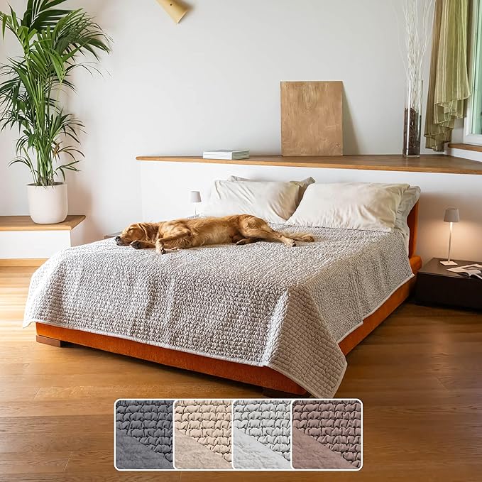 PAULATO BY GA.I.CO. Waterproof Blanket for Bed – King Absorbent Couch Cover – Machine Washable Stain-Resistant Pad for Large Sofa – Pets Cat & Dog Friendly Furniture Protector - Light Grey by PAULATOBYGAICO