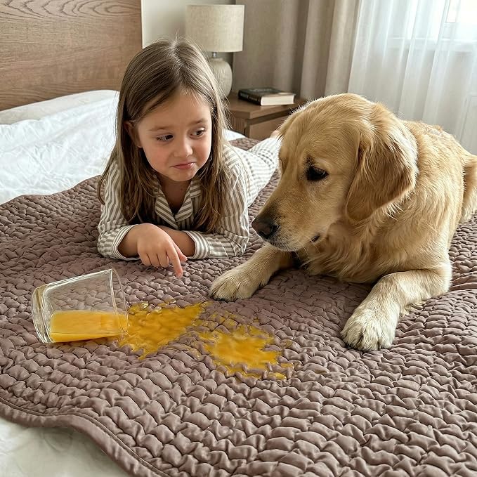 PAULATO BY GA.I.CO. Waterproof Blanket for Bed – Queen Absorbent Couch Cover – Machine Washable Stain-Proof Pad for Large Sofa – Pets Dogs & Cats Friendly Protector - Soft Taupe - Image 7