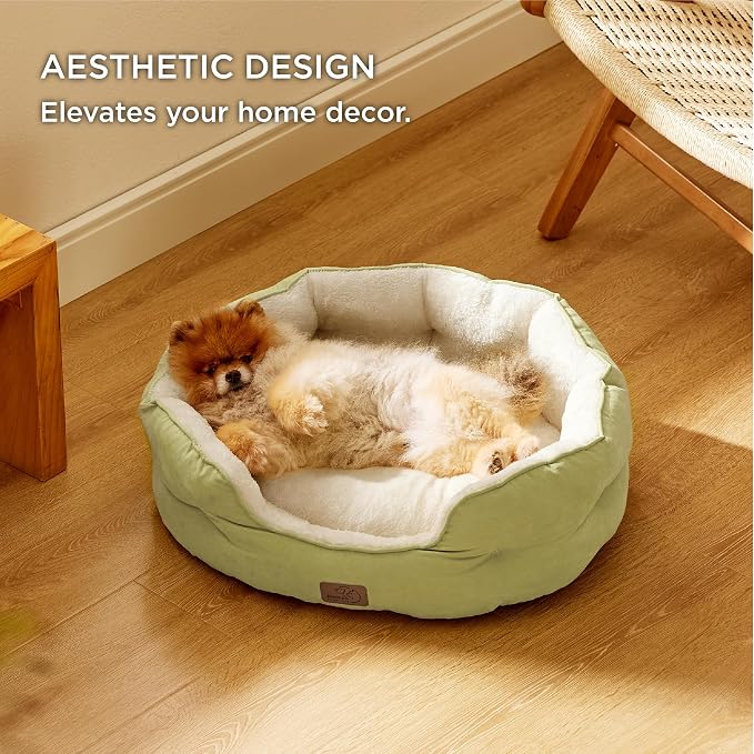 Bedsure Small Dog Bed Washable,Round Cat Beds for Indoor Cats,25in | Bean Green Soft Plush Pet Bed,Dog Beds for Small Dogs for Puppy and Kittens,Anti-Slip Bottom,Easy to Clean - Image 5