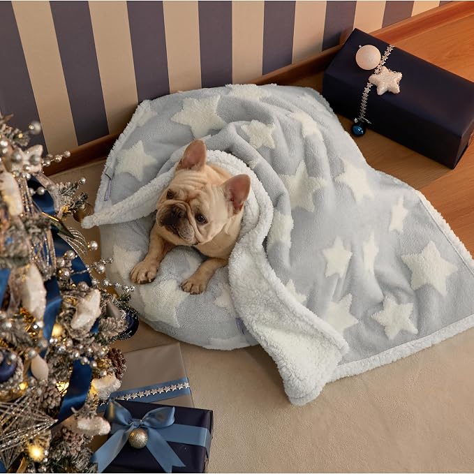 LE SURE Waterproof Dog Blankets for Medium Dogs Cute 3D Jacquard,30x40 | Puppy Blanket for Cat Aesthetic Gift, Warm Soft Sherpa Throw Washable, Reversible Pet Couch Protector, Galaxy Grey by Lesure