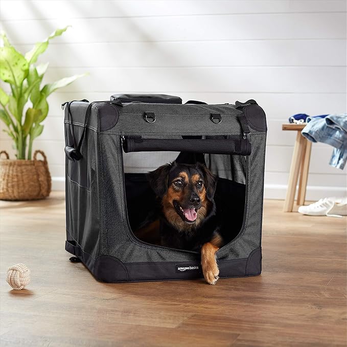 Amazon Basics Portable Soft Pet Dog Crate Carrier Kennel with Mesh Windows, Foldable, 30 x 21 x 21 inches, Black