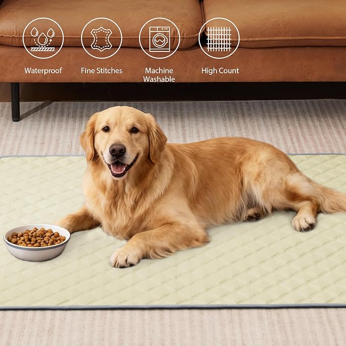 Eterish Reusable Washable Pee Pads for Dogs Large/Extra Large 36'' x 41'' 2 Pack, Absorbent Pet Puppy Dog Training Pads Non-Slip, Waterproof Whelping Potty Pads for Dogs Leak-Proof - Image 2