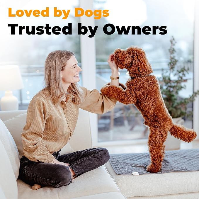 Waterproof Dog Blanket for Couch – Pet Hair Resistant Sofa Protector - Non Slip Dog Couch Cover - Washable Waterproof Pet Blanket for Sofa Bed Car - Reversible Dog Blanket for Couch Protection - Image 8