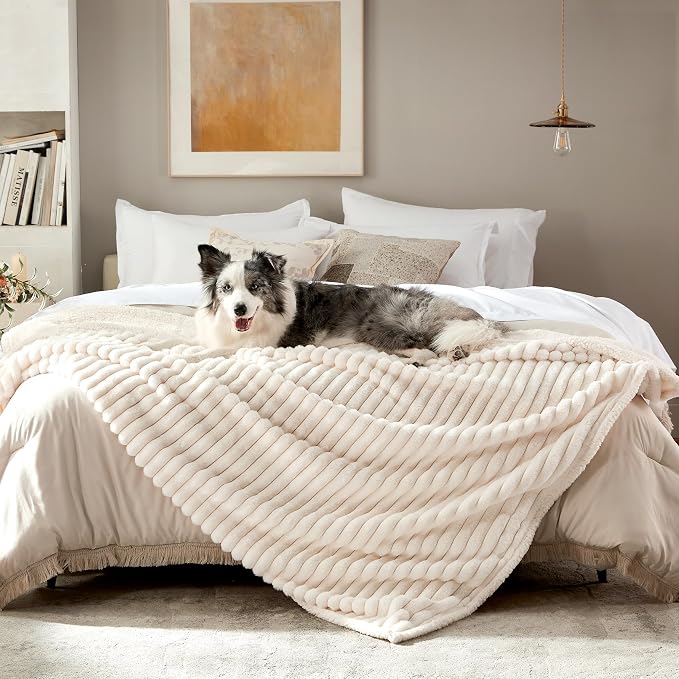 Waterproof Dog Blanket for Extra Large Dogs, Soft Corduroy Fleece Pet Blanket Washable, Dual-Sided Cat Blankets for Furniture Protection, Reversible Cozy Calming Couch Blanket, 60"x80", Cream by WARMREST