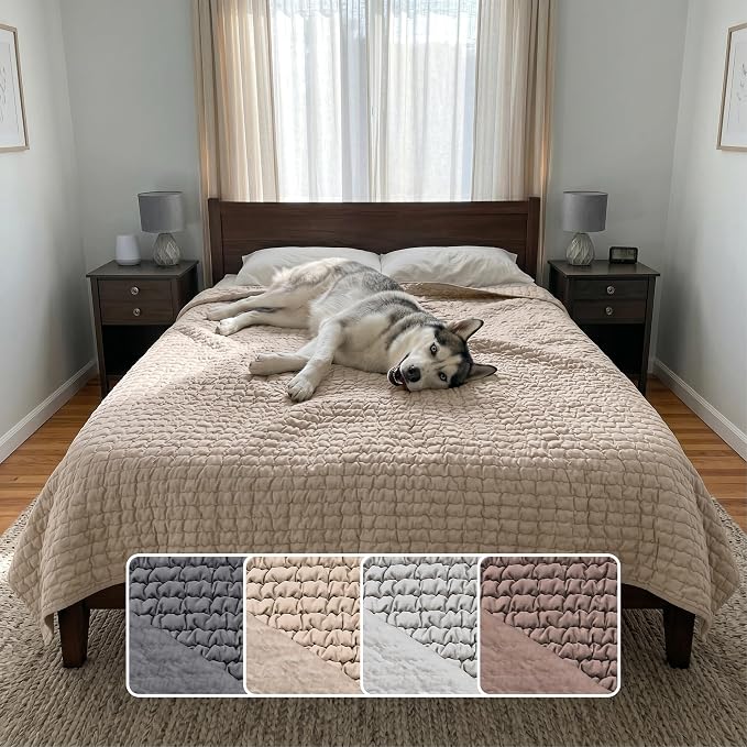 PAULATO BY GA.I.CO. Waterproof Blanket for Bed – Queen Absorbent Couch Cover – Machine Washable Stain-Proof Pad for Large Sofa – Pets Dogs & Cats Friendly Protector - Macadamia by PAULATOBYGAICO
