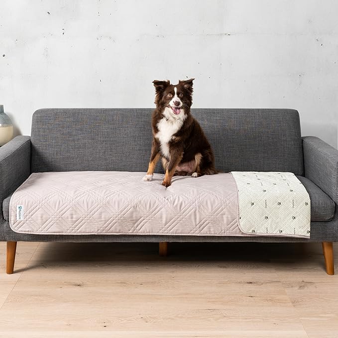 PetAmi Waterproof Couch Cover for Dogs, Non-Slip Leakproof Sofa Furniture Protector for Pet Cat, Machine Washable Bed Blanket for Car Seat, 30x70 Beige by PetAmi