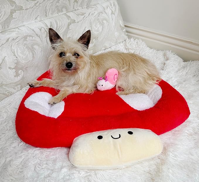 TONBO Soft Plush Small Cute and Cozy Nature Dog Cat Bed, Washer and Dryer Friendly (Mushroom) - Image 2