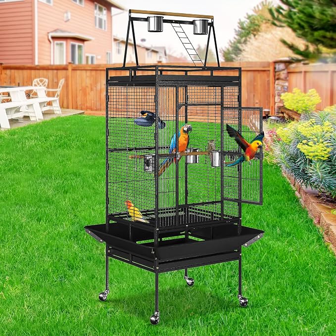 Nova Microdermabrasion 68-Inch Height Wrought Iron Standing Large Play Top Bird Cage for African Grey Small Quaker Parrot Cockatiel Sun Parakeet Green Cheek Conure Dove Budgie Lovebird - Image 4