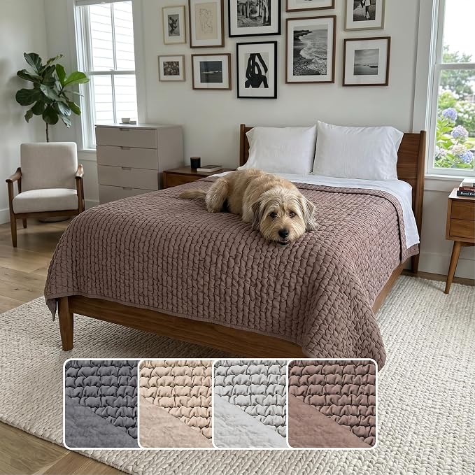 PAULATO BY GA.I.CO. Waterproof Blanket for Bed – Twin Size Cover for Incontinence – Machine Washable Stain-Resistant Protector for Couch and Sofa – Absorbent Pad - Soft Taupe by PAULATOBYGAICO