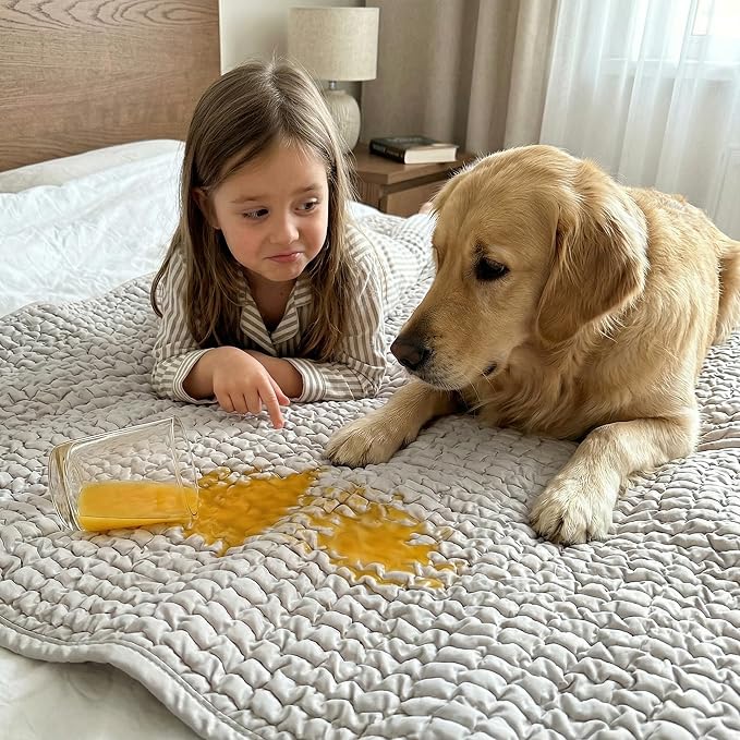 PAULATO BY GA.I.CO. Waterproof Blanket for Bed – King Absorbent Couch Cover – Machine Washable Stain-Resistant Pad for Large Sofa – Pets Cat & Dog Friendly Furniture Protector - Light Grey - Image 7