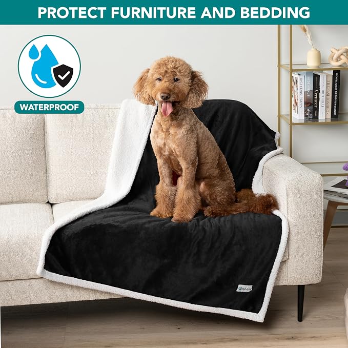 PetAmi Waterproof Dog Blanket for Couch, Large 60x40, Pee Proof Sherpa Fleece Reversible Pet Throw, Furniture Protector for Bed Sofa Kennel, Soft Washable Cover for Medium Dogs Cats, Black - Image 2