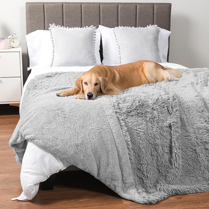 PetAmi Waterproof Dog Blanket for Couch, Bed & Furniture,Reversible Sherpa & Faux Fur Pet Blanket, Leakproof Pet Blanket for Large Dog Cat, Washable Soft Calming Protector Throw (60x80, Light Gray) by PetAmi