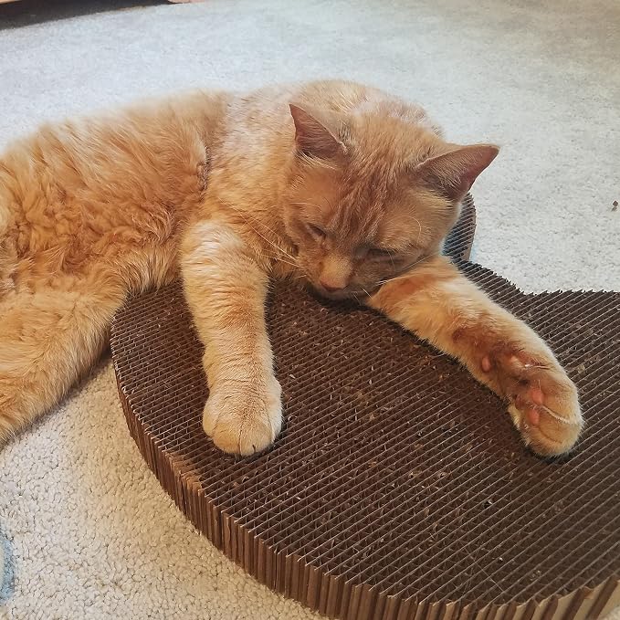 Cat Scratcher by Americat – Made in USA Cardboard Scratching Pad & Lounger – X Large, 2-Sided, Heavy, No-Shedding, Long-Lasting (Cat) - Image 3