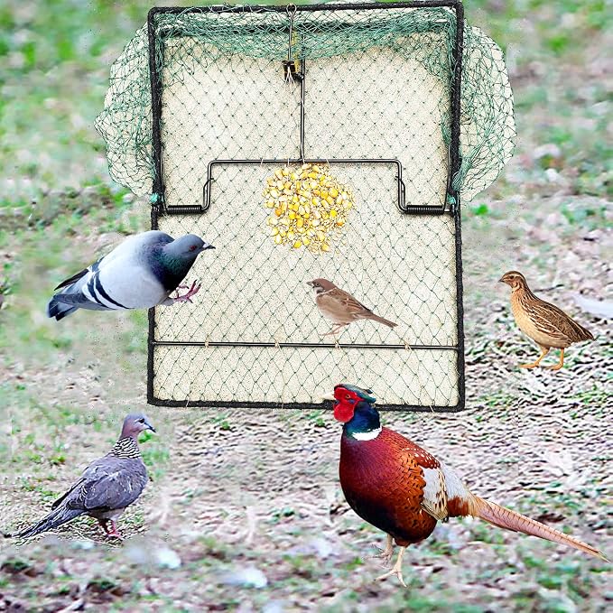 Pigeon Bird Trap Quail Sparrow 2 Pack Spring Starling Catching Net Traps for Trapping - Image 4