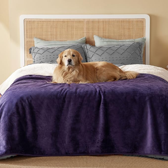 Bedsure Waterproof Blanket for Bed Soft Sherpa Fleece Throw,Queen 90x86 | Plush Cozy Calming Reversible Dog Blankets for Large Senior Dogs,Warm Bed Couch Cover,Pet Furniture Protector,Eggplant by Unknown