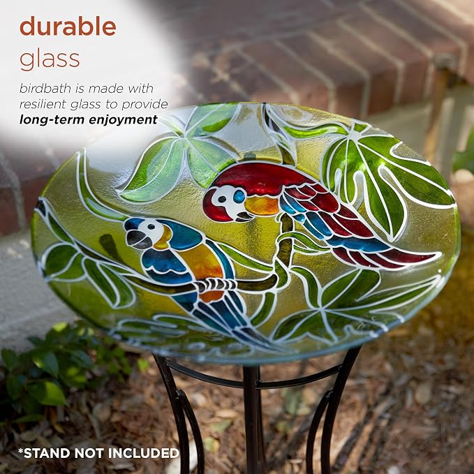 Alpine Corporation 18" Round Outdoor Birdbath Bowl Topper with Colorful Painted Parrot Design - Image 5