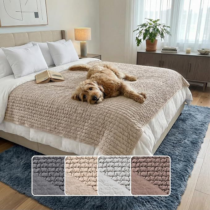 PAULATO BY GA.I.CO. Waterproof Blanket for Bed – King Absorbent Couch Cover – Machine Washable Stain-Resistant Pad for Large Sofa – Pets Cat & Dog Friendly Furniture Protector - Macadamia by PAULATOBYGAICO