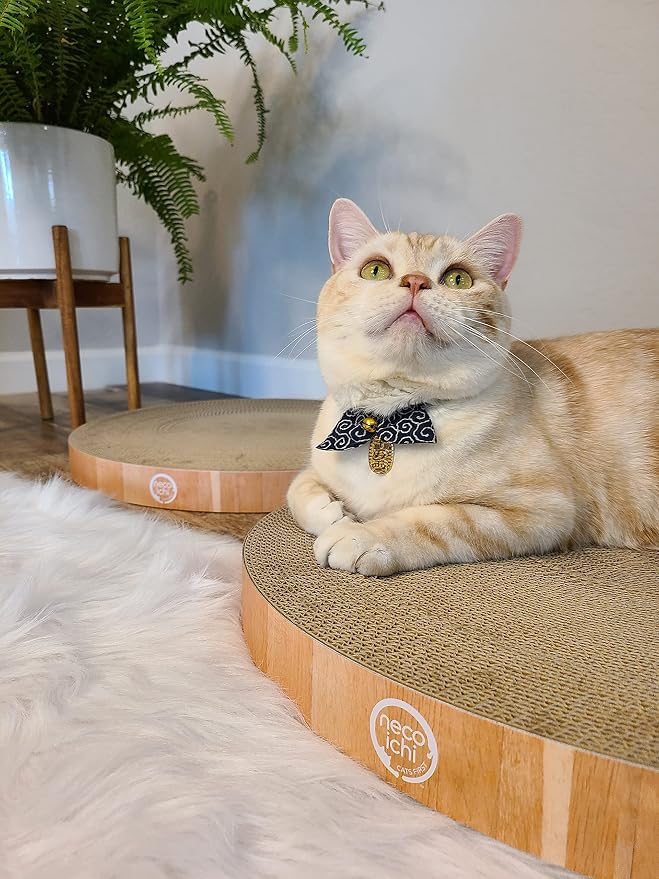Necoichi Cat Scratcher Bowl Replacement for Indoor Cats - Cat Scratching Lounger with Reversible Usability and Extra Comfort for Lounge, Cardboard Bed Couch / (Regular, Oak) - Image 5