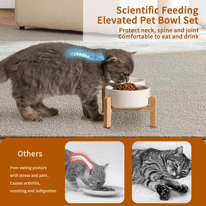 Elevated Ceramic Dog Bowl Set - Raised Feeding Bowls with Non-Slip Bamboo Stand - Small Pet Dishes for Food and Water - Ideal for Cats and Puppies - 16.23 OZ - 2 Cups - 480 ML | 5.1'' Double Dog Feeding Dishes, Non-Slip Raised Dog Feeder for Cats and P... - Image 4