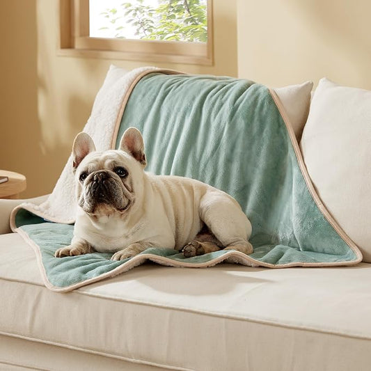 Bedsure Waterproof Dog Blankets for Medium Dogs Washable Soft Warm, 30"X40" | Plush Sherpa Fleece Cat Puppy Blanket for Couch Protector, Reversible Cozy Calming Throw for Pet Indoor,Light Green by Unknown