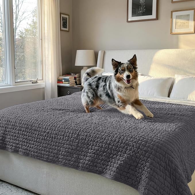 PAULATO BY GA.I.CO. Waterproof Blanket for Bed – King Absorbent Couch Cover – Machine Washable Stain-Resistant Pad for Large Sofa – Pets Cat & Dog Friendly Furniture Protector - Dark Grey - Image 2