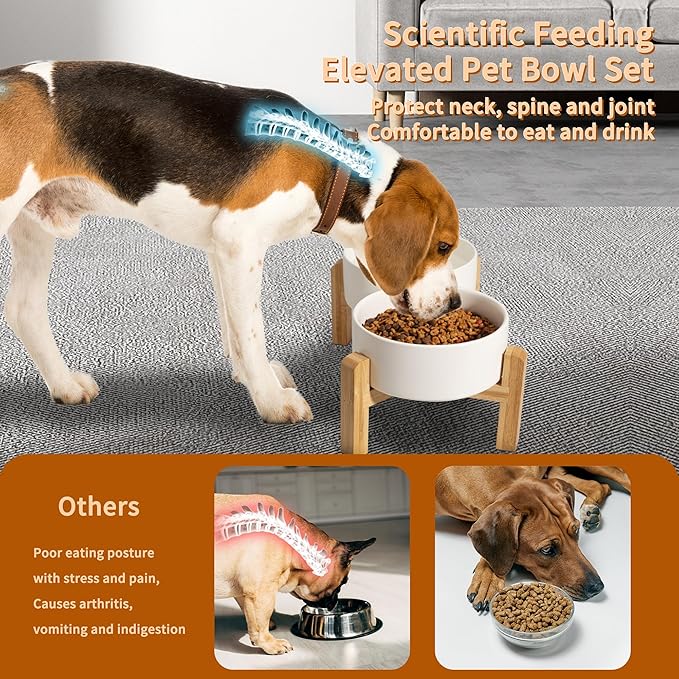 Elevated Ceramic Dog Bowl, 3.6 Cups Dog Food and Water Bowl Set with Stand | 6.1'' Double Dog Feeding Dishes, Non-Slip Raised Dog Feeder for Small and Medium Breeds, 28.74 OZ / 850 ML, White - Image 4