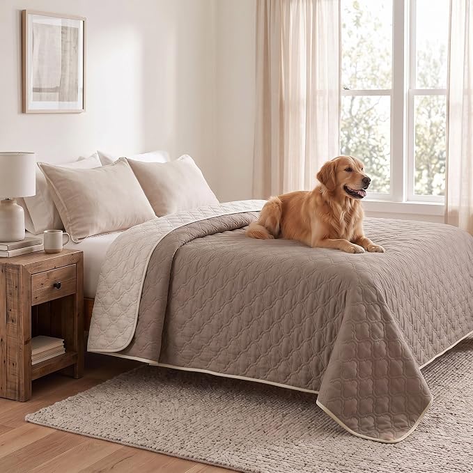 Waterproof Couch Cover - Washable Dog & Pet Furniture Protector | TPU Leak-Proof Liner, Microfiber Fabric, Lightweight & Reversible, Fits Sofa and Bed, 82" x 102" , Cream/Khaki by Bigbeer