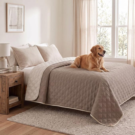 Waterproof Couch Cover - Washable Dog & Pet Furniture Protector | TPU Leak-Proof Liner, Microfiber Fabric, Lightweight & Reversible, Fits Sofa and Bed, 82" x 102" , Cream/Khaki by Bigbeer