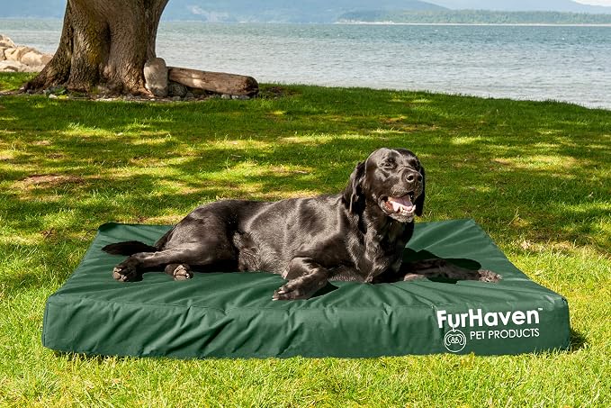 Furhaven Water-Resistant Orthopedic Dog Bed for Large Dogs w/ Removable Washable Cover, For Dogs Up to 125 lbs - Indoor/Outdoor Logo Print Oxford Polycanvas Mattress - Forest, Jumbo Plus/XXL - Image 3