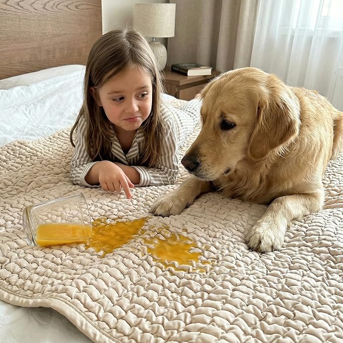 PAULATO BY GA.I.CO. Waterproof Blanket for Bed – Twin Size Cover for Incontinence – Machine Washable Stain-Resistant Protector for Couch and Sofa – Absorbent Pad - Macadamia - Image 7