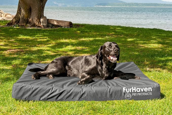 Furhaven Water-Resistant Orthopedic Dog Bed for Large Dogs w/ Removable Washable Cover, For Dogs Up to 125 lbs - Indoor/Outdoor Logo Print Oxford Polycanvas Mattress - Stone Gray, Jumbo Plus/XXL - Image 3