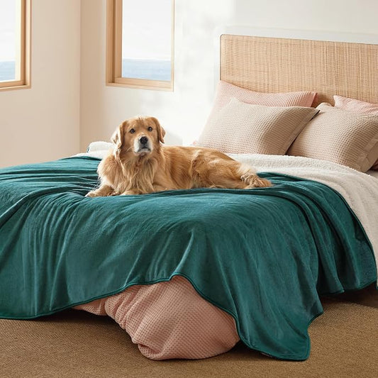 Bedsure Waterproof Blanket for Bed Soft Sherpa Fleece Throw,Queen 90x86 | Plush Cozy Calming Reversible Dog Blankets for Large Senior Dogs,Warm Bed Couch Cover,Pet Furniture Protector,Green by Unknown