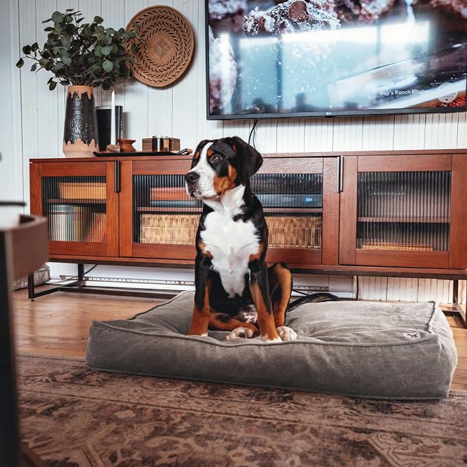 Molly Mutt Jupiter Dog Bed Duvet Cover, GOTS-Certified 100% Cotton Canvas Cover for Dog, Puppy, or Cat Bed, Durable, Washable, and Free of Harmful Chemicals, Medium/Large, 27"x36"x5", Brown - Image 4