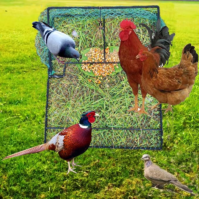 Bird Trap Pigeon Quail Live Animal Control Spring Starling Chicken Snares for Trapping - Image 4