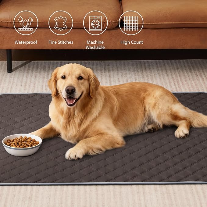 Eterish Reusable Washable Pee Pads for Dogs Large/Extra Large 36'' x 41'' 2 Pack, Absorbent Pet Puppy Dog Training Pads Non-Slip, Waterproof Whelping Potty Pads for Dogs Leak-Proof - Image 2