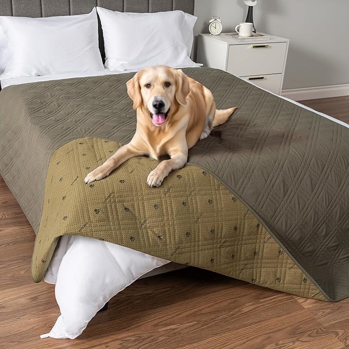 PetAmi Waterproof Couch Cover for Dogs, Non-Slip Leakproof Sofa Furniture Protector for Pet Cat, Machine Washable Bed Blanket for Car Seat, 102x82 Green by PetAmi