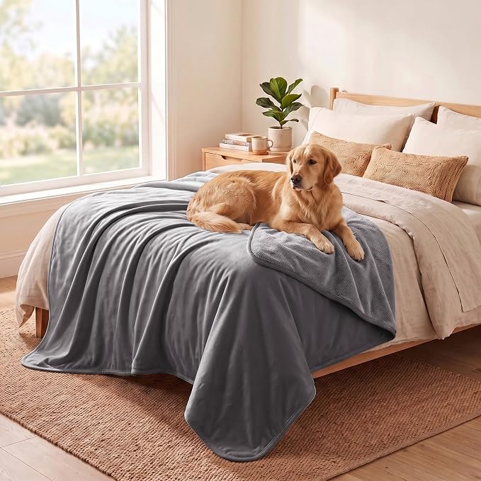 Waterproof Blanket - Reversible Dog Throw as Furniture Protector | Soft Velvet & Flannel, TPU Leak-Proof Liner, Machine Washable, Fits Couch and Bed, 82" x 120", Lightgrey/Darkgrey by TuffeelHome